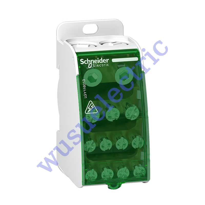 Schneider LGY116013